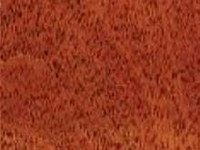 Red Mahogany